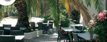 Outside Terrace